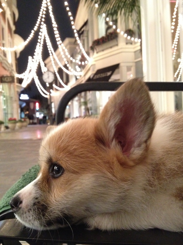Me chilling at The Grove