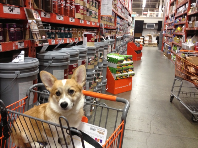 The shelves are so high at Home Depot.